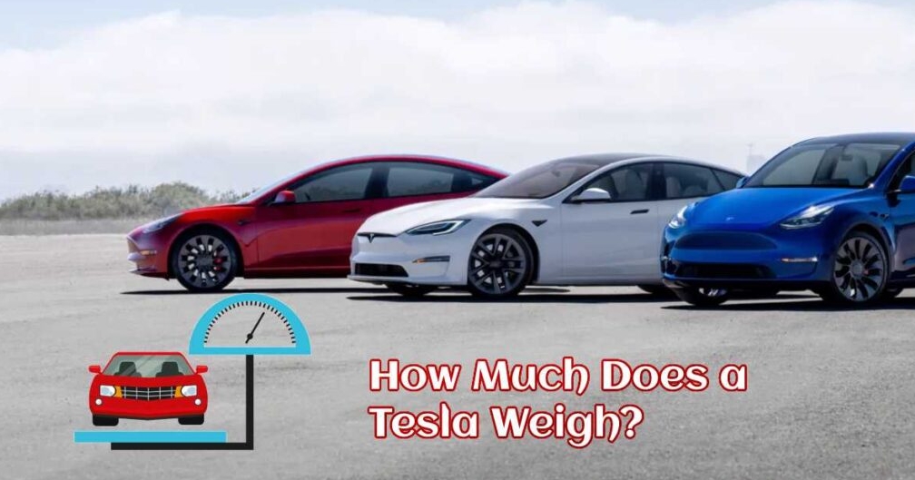 How Much Does A Tesla Weigh Guide Of 5 Best Tesla Models