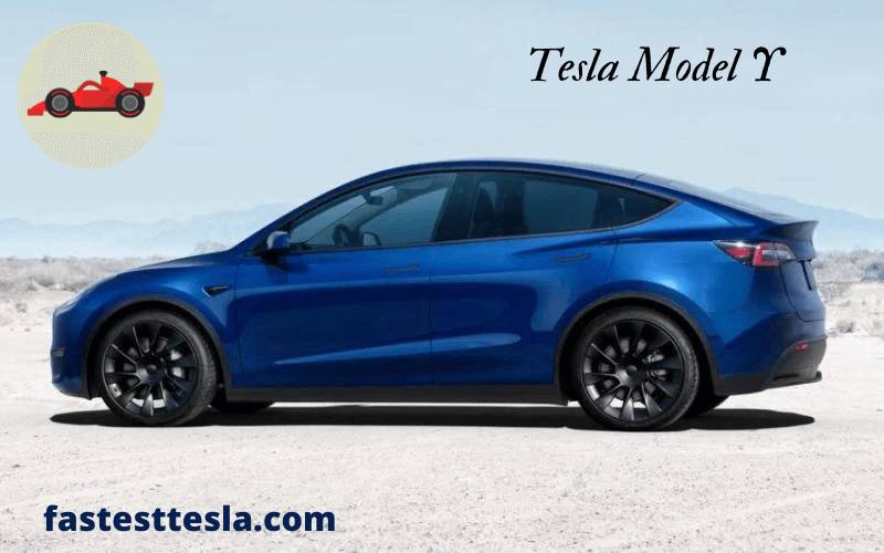 Discovering the Tesla Model Y